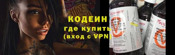 дживик Абаза