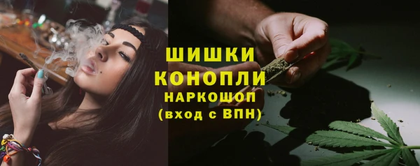 прущие грибы Абдулино