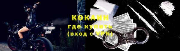 прущие грибы Абдулино