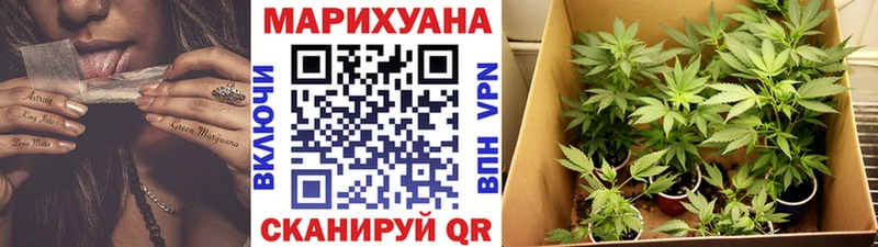 дарк нет формула  закладка  Алапаевск  Канабис семена 